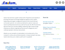 Tablet Screenshot of caelum.com