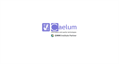 Desktop Screenshot of caelum.es