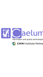 Mobile Screenshot of caelum.es